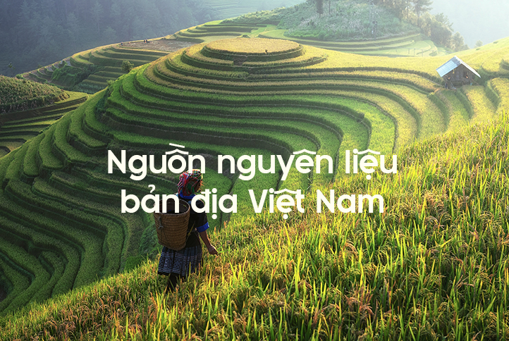 Nguồn cảm hứng của Dung dịch vệ sinh Lá nhội Lulami